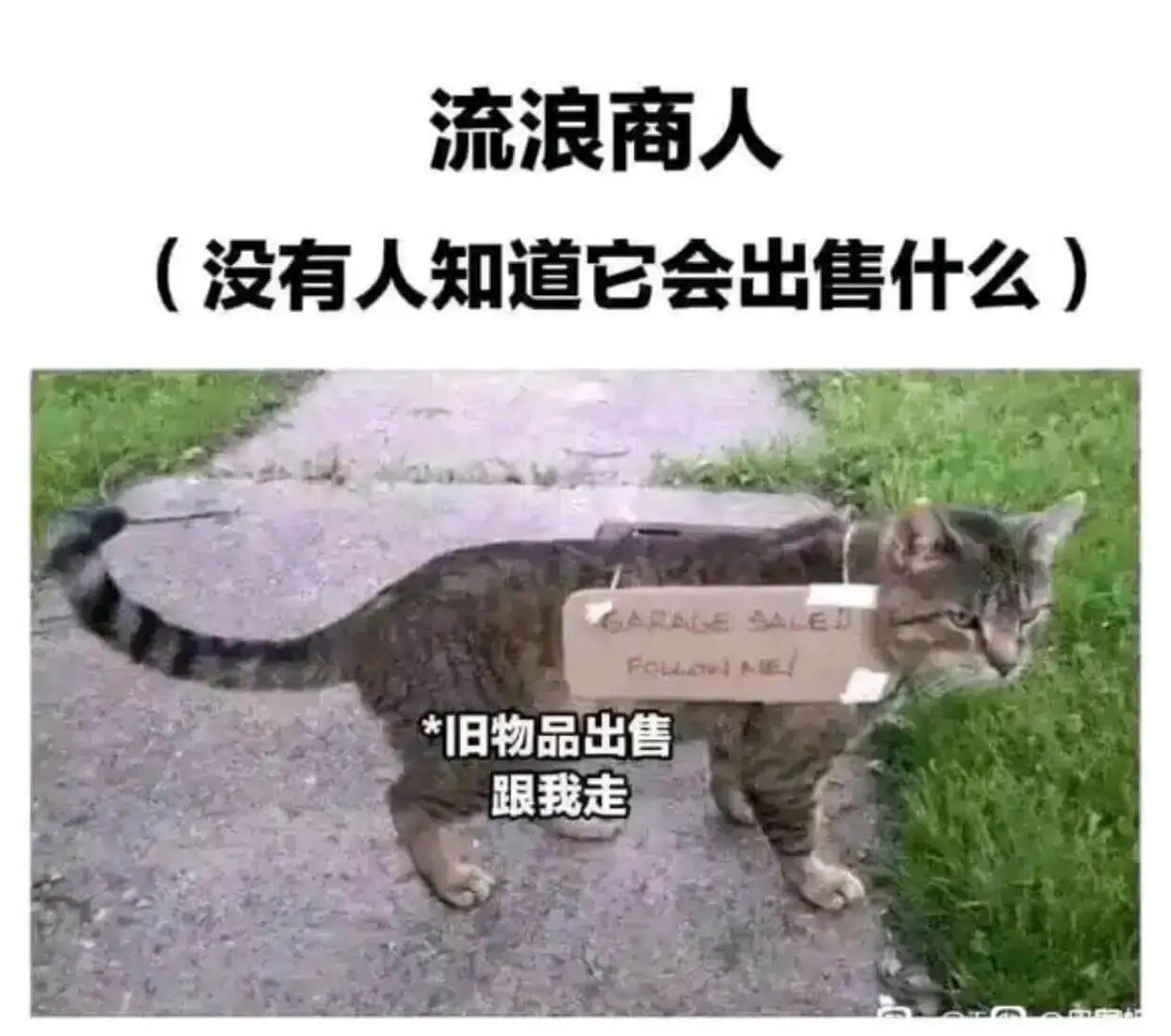 流浪商人（没有人知道它会出售什么）SARESALEIFCPE