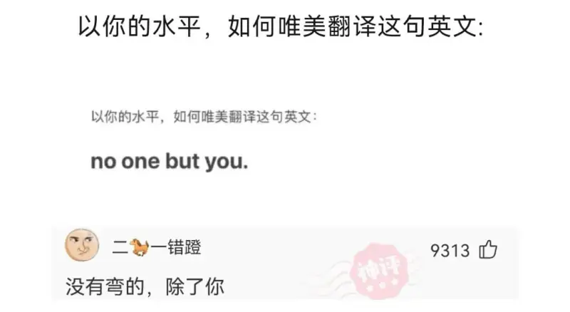 以你的水平,如何唯美翻译这句英文:以你的水平，如何唯美翻译这