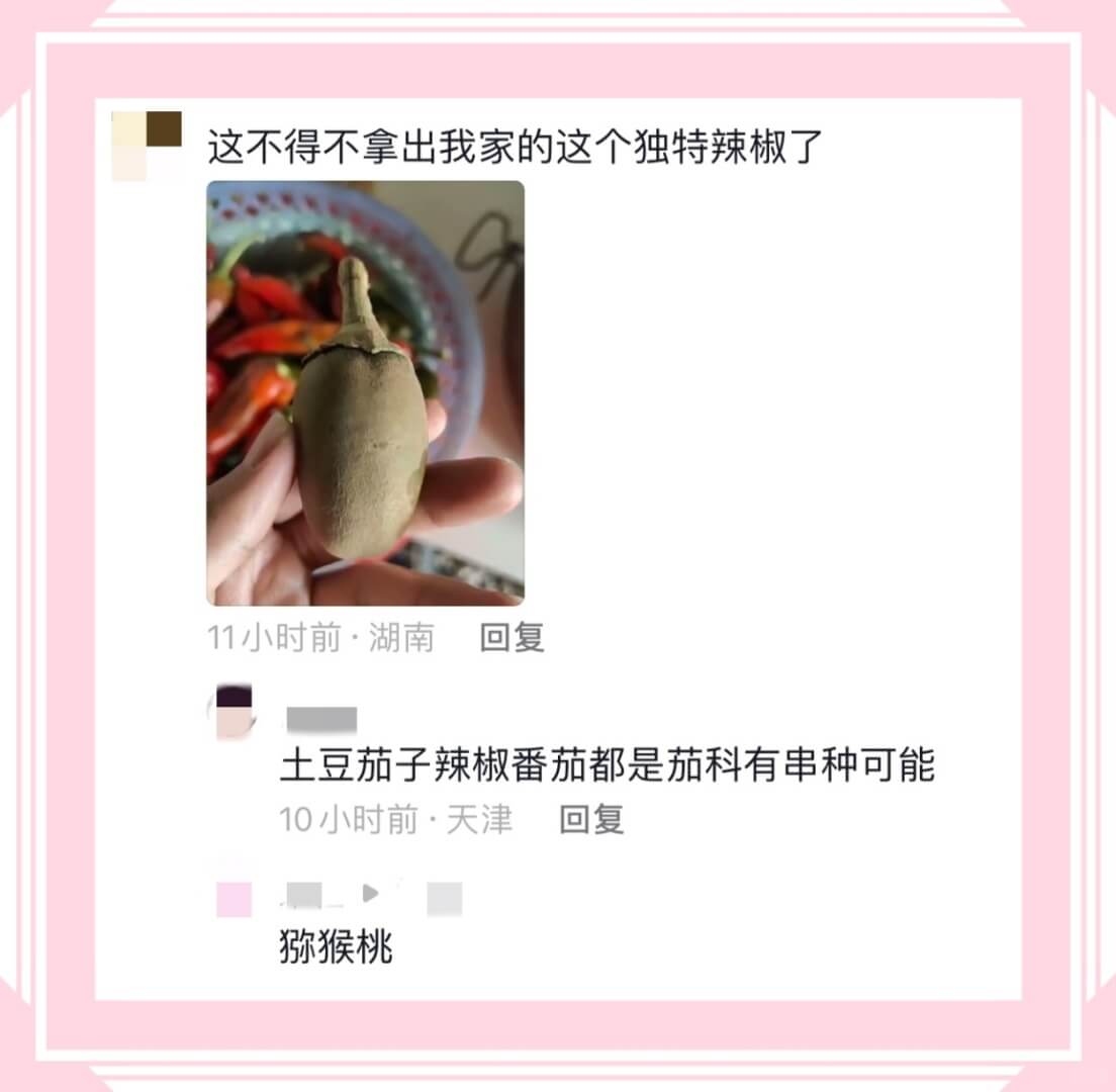 这不得不拿出我家的这个独特辣椒了这不得不拿出我家的这个独特辣