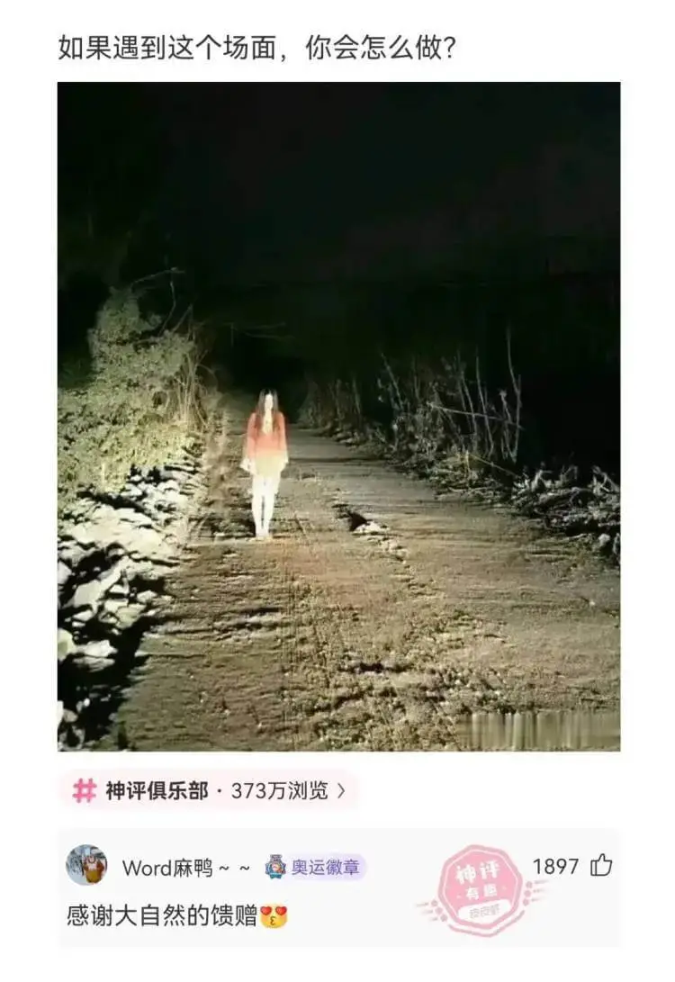 如果遇到这个场面，你会怎么做?神评俱乐部·373万浏览Wor