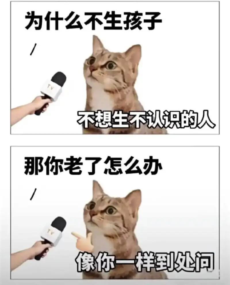 为什么不生孩子不想生不认识的人那你老了怎么办像你一样到处问