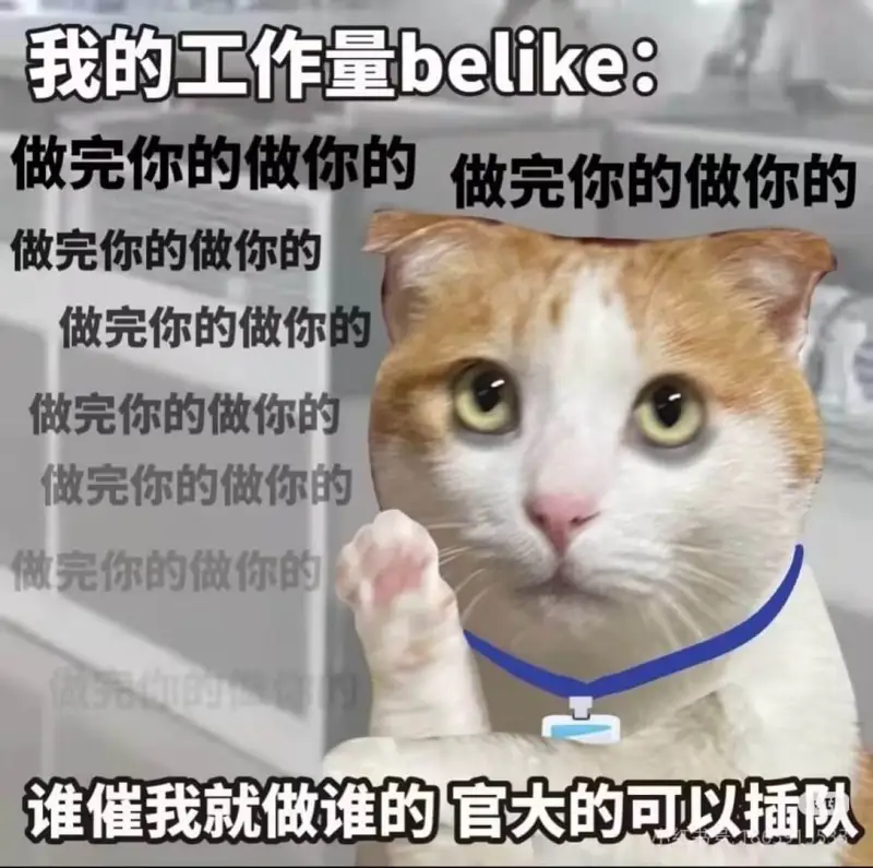 我的工作量belike：做完你的做你的，做完你的做你的，做完