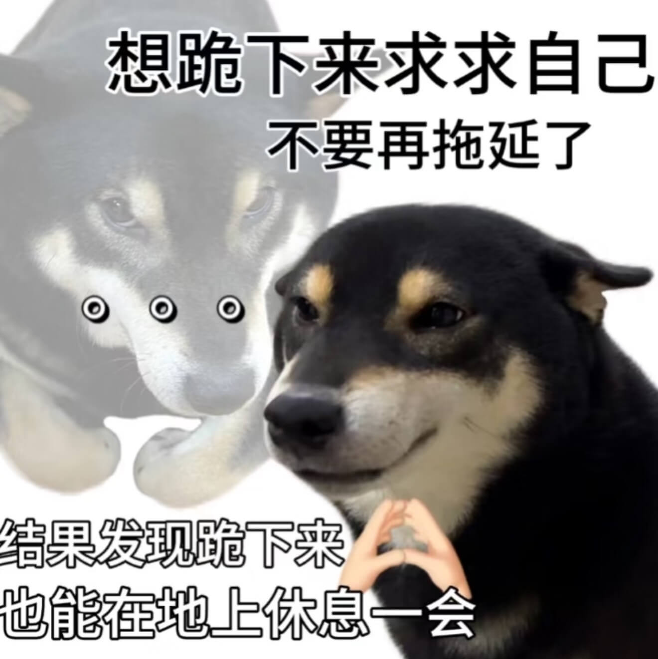 想跪下来求求自己不要再拖延了结果发现跪下来也能在地上休息一会