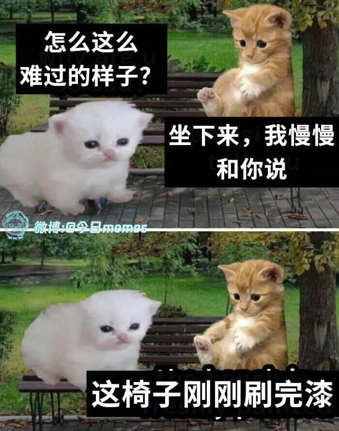 怎么这么难过的样子？坐下来，我慢慢和你说微博：今日meme5