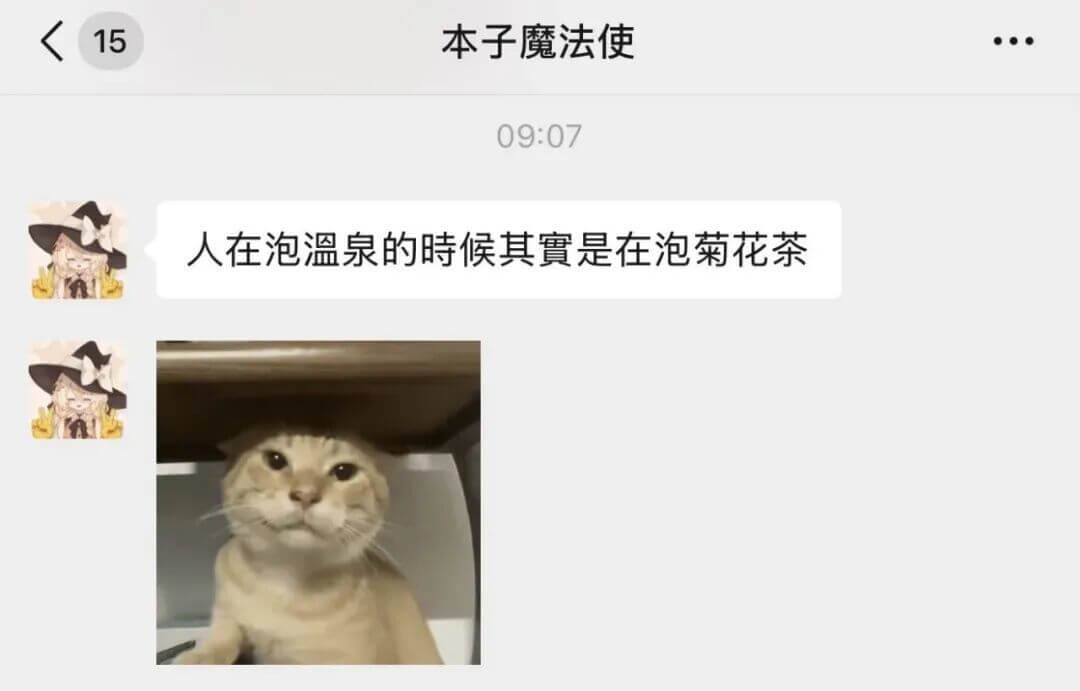 15本子魔法使09:07人在泡温泉的时候其实是在泡菊花茶