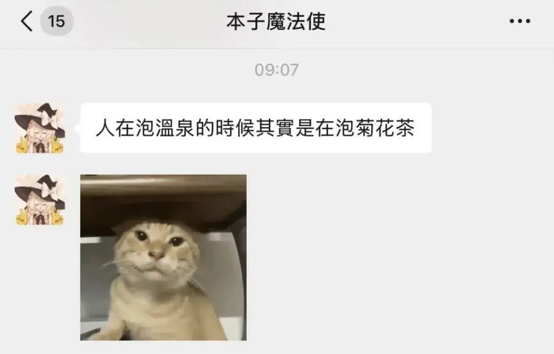 15本子魔法使09:07人在泡温泉的时候其实是在泡菊花茶