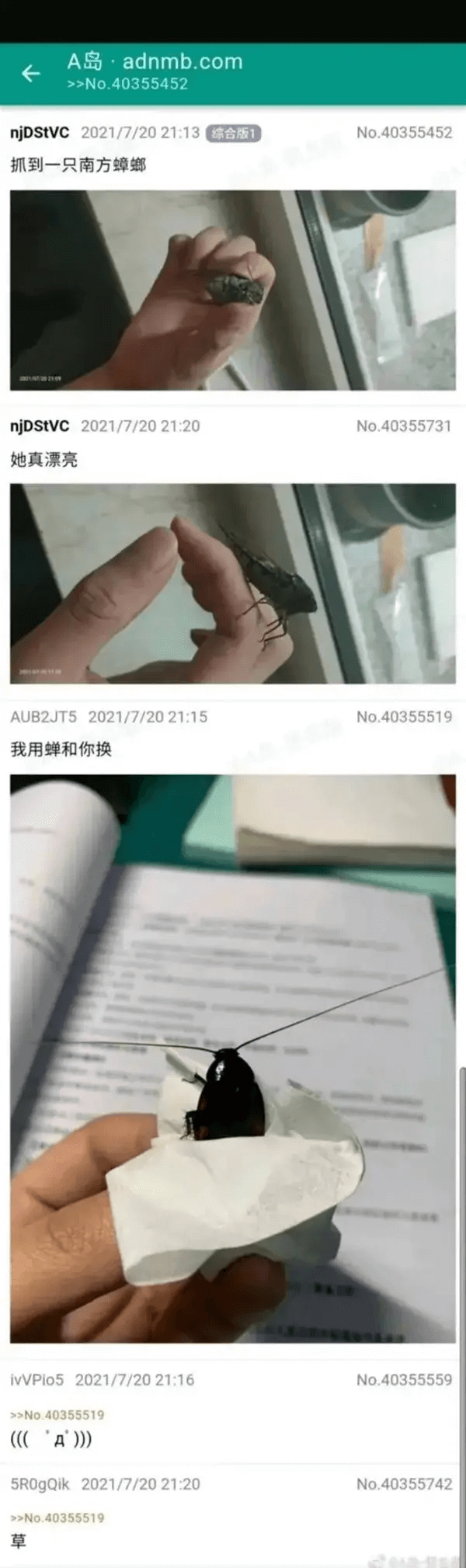 A岛·adnmb.com>>No.40355452njDSt