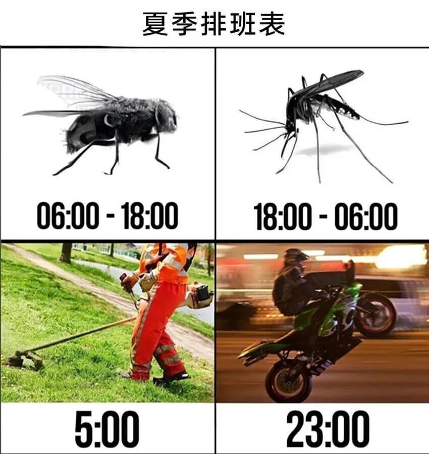夏季排班表06:00-18:0018:00-06:005:0