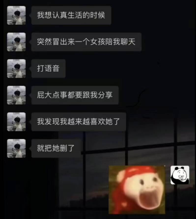 我想认真生活的时候，突然冒出来一个女孩陪我聊天，打语音，屁大