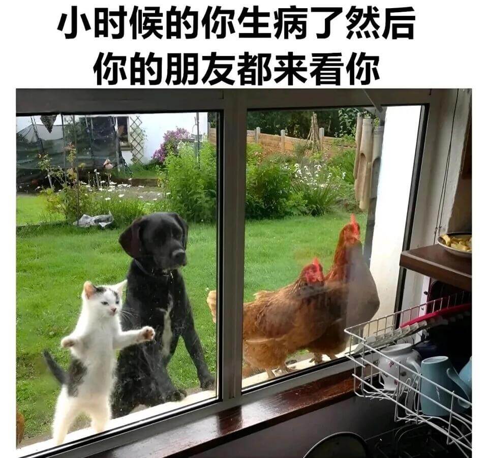 小时候的你生病了，然后你的朋友都来看你。