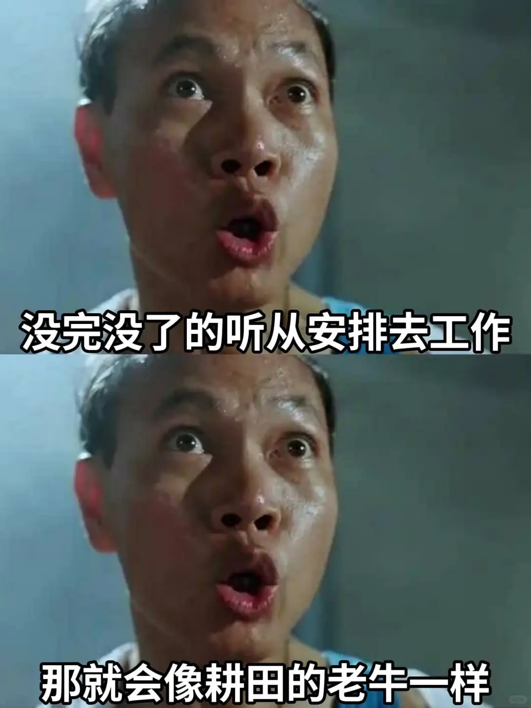 没完没了的听从安排去工作那就会像耕田的老牛一样