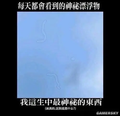 每天都鲁看到的种神秘漂浮物我生中最神秘的东西（说真的，这到底