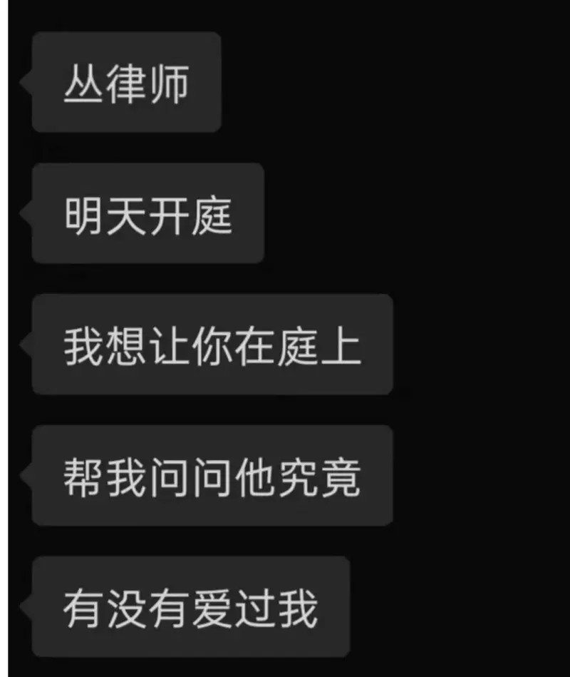 丛律师：明天开庭，我想让你在庭上帮我问问他，究竟有没有爱过我