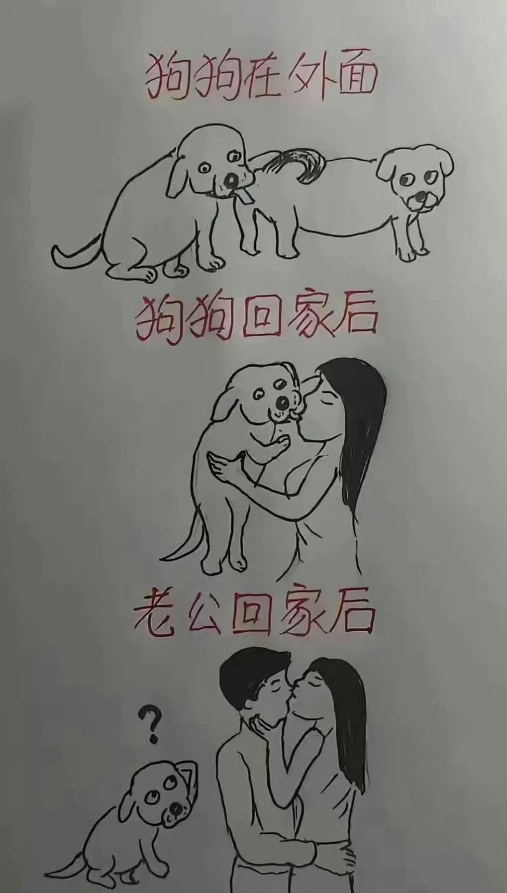 狗拍在外面狗狗回家后老公回家后