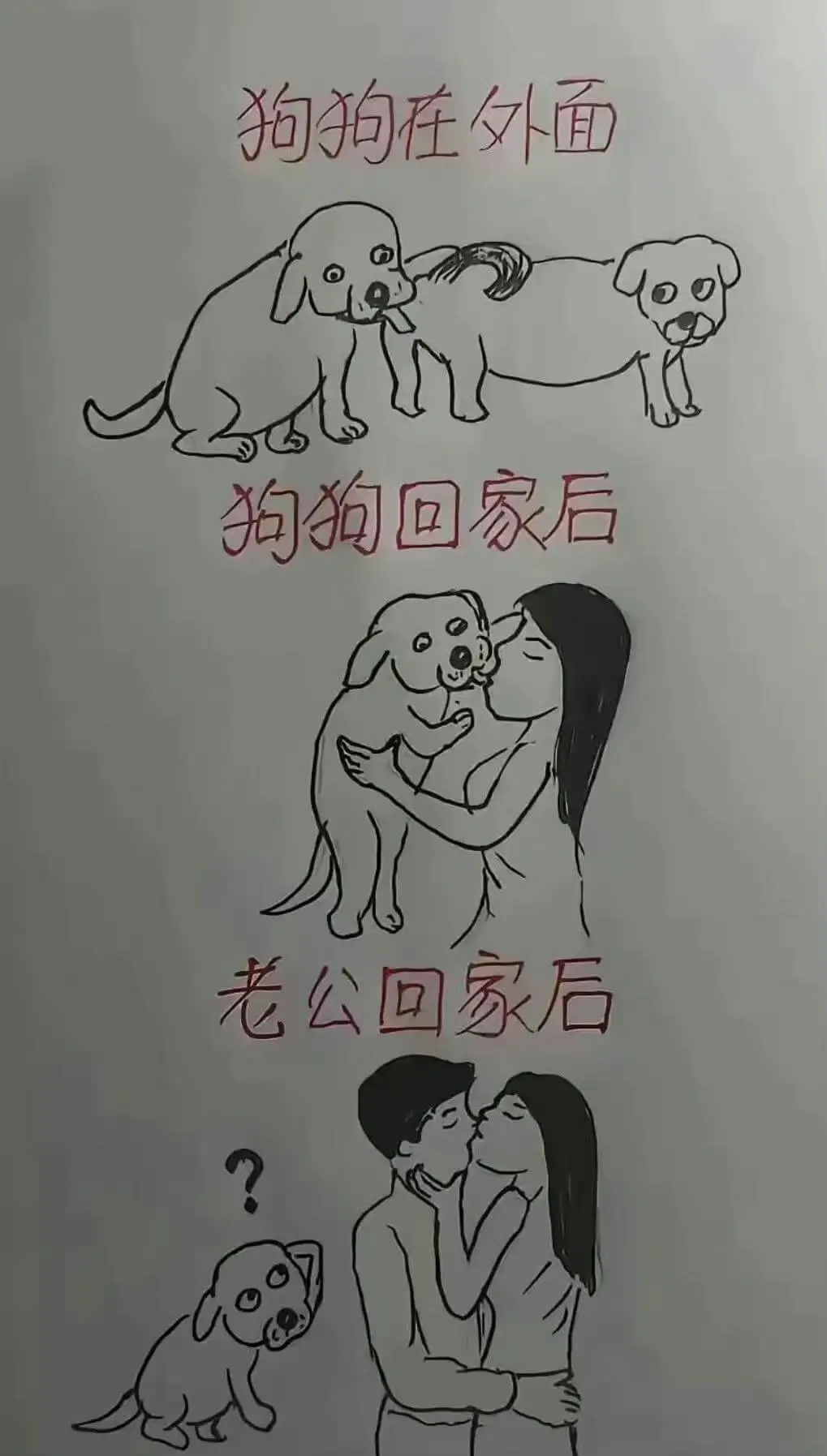 狗拍在外面狗狗回家后老公回家后