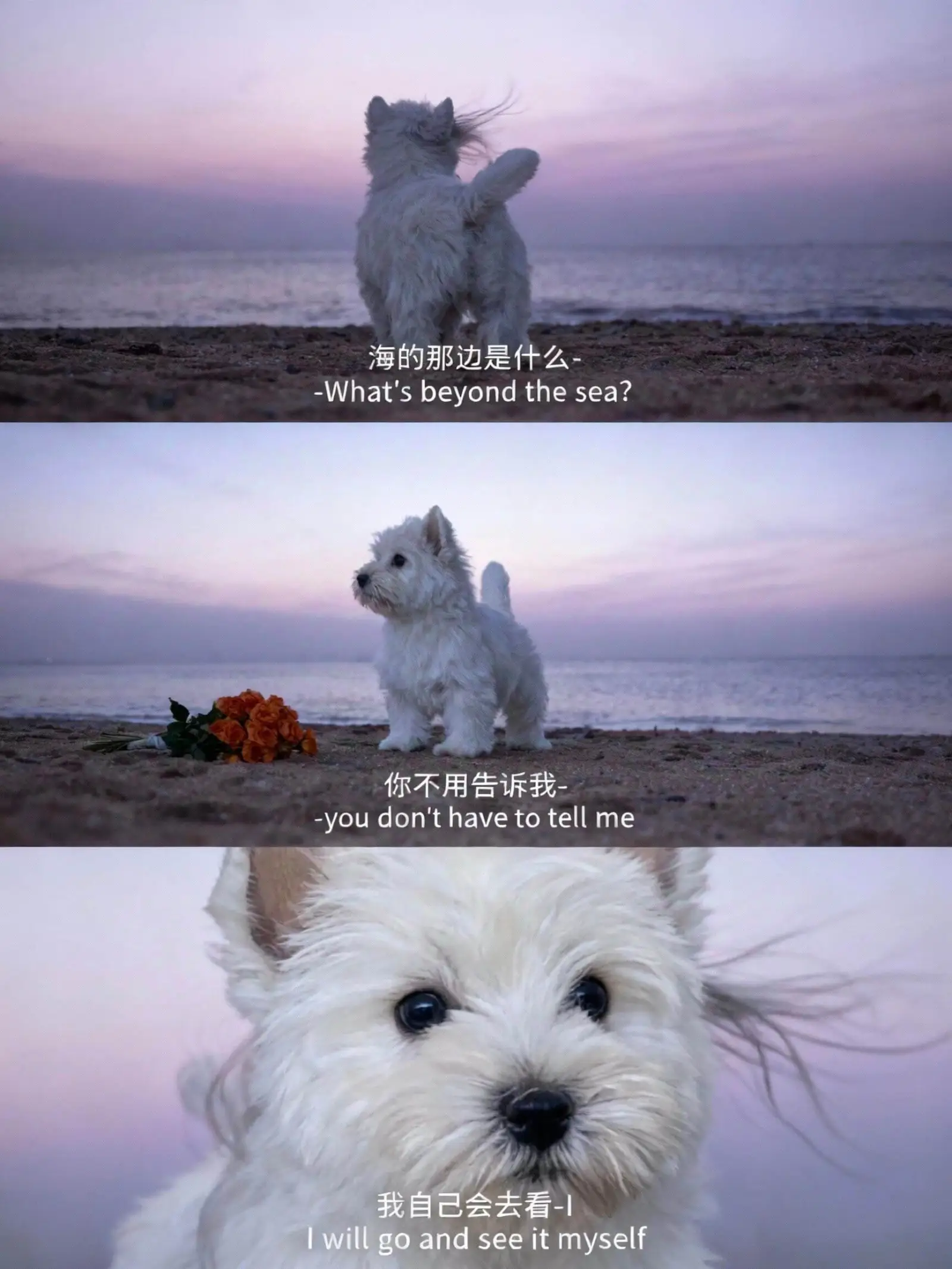 海的那边是什么-Whatsbeyondthesea?你不用告