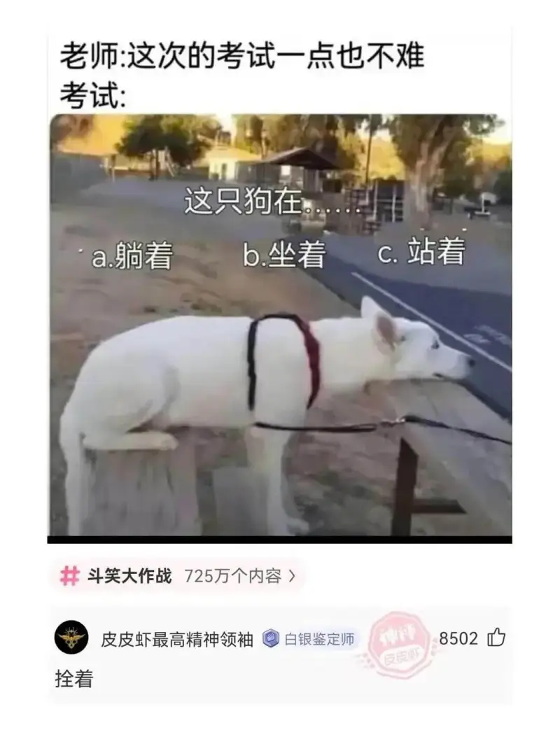 老师:这次的考试一点也不难。这只狗在a.躺着b.坐着c.站着