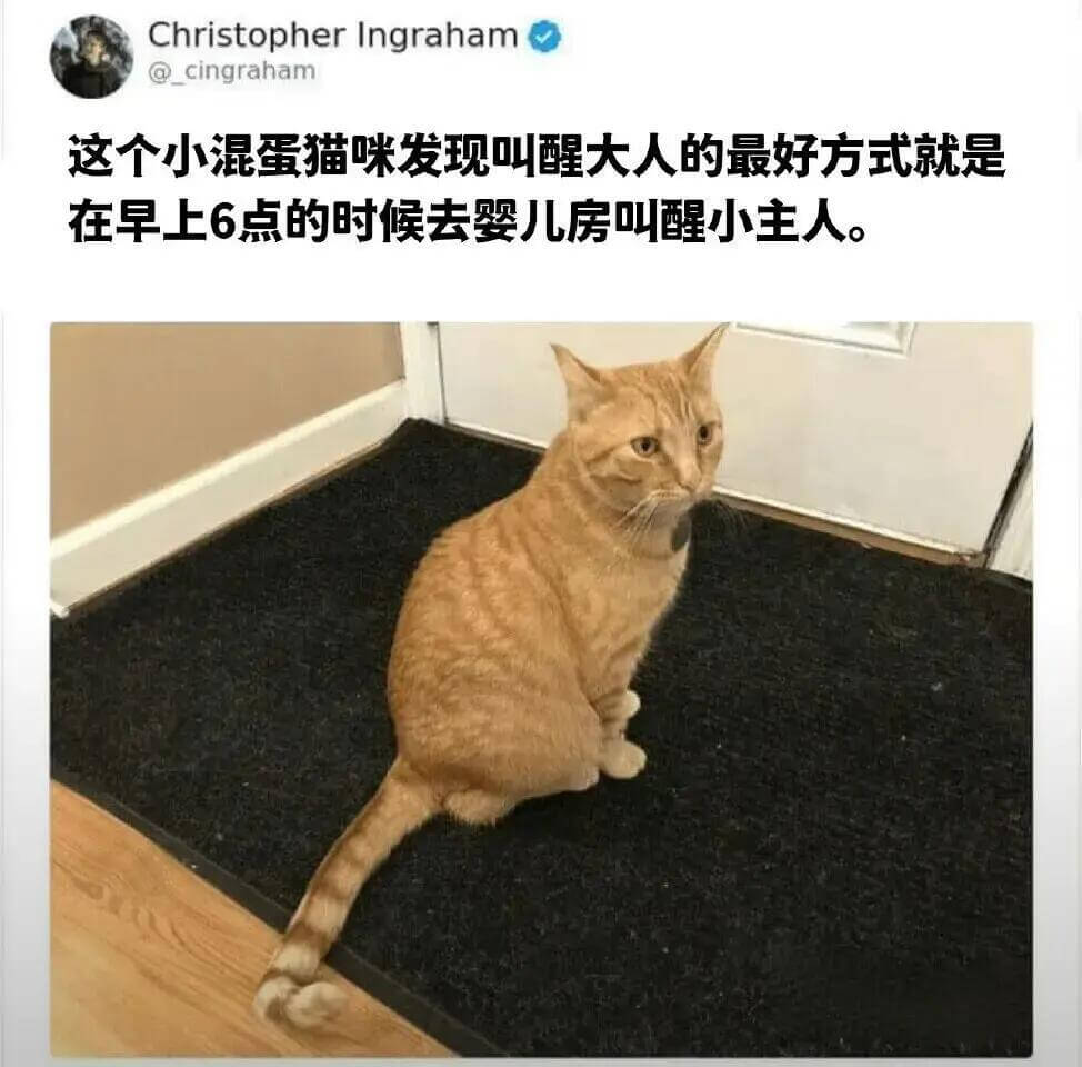 ChristopherIngraham@cingraham这