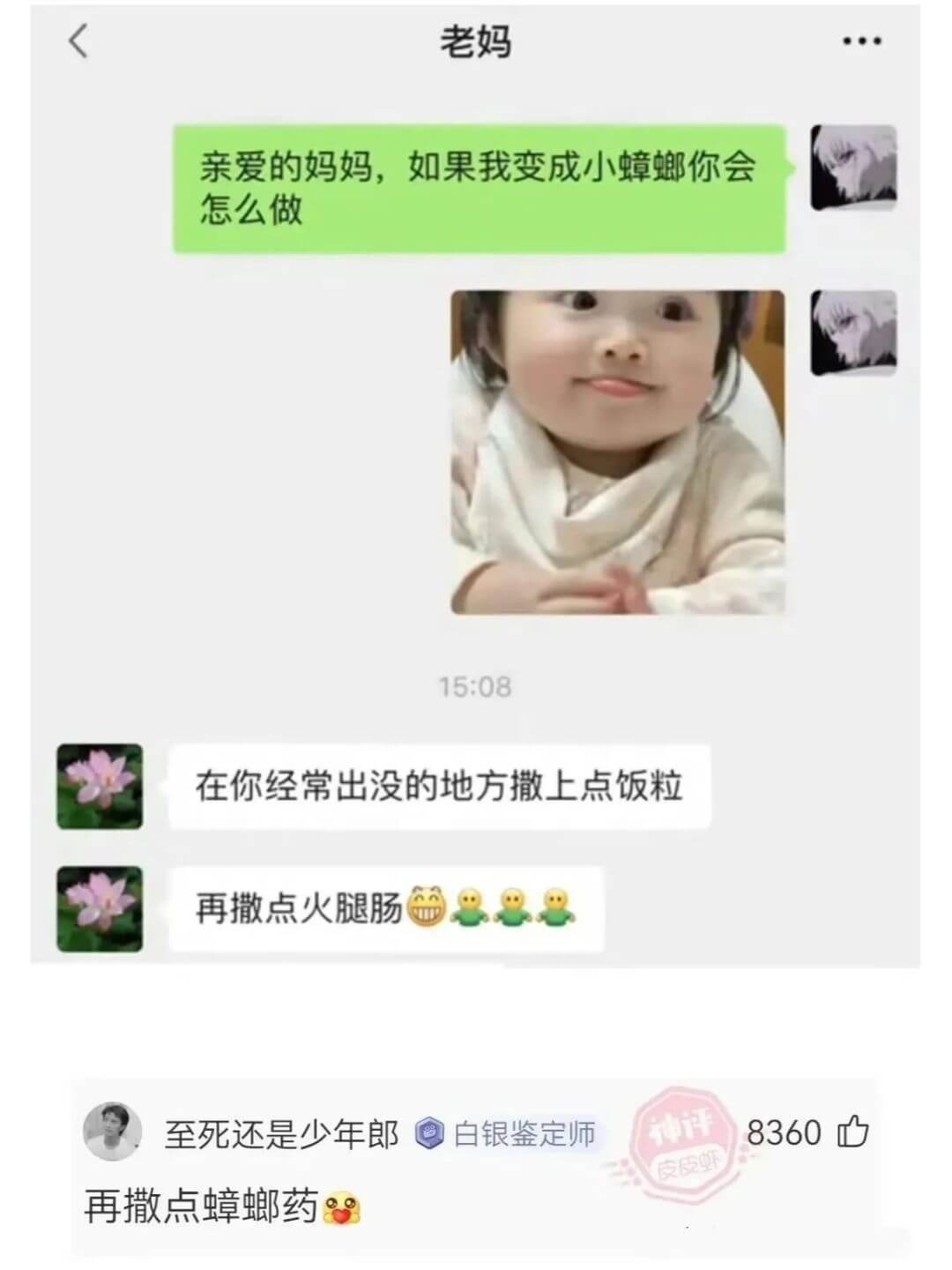 老妈亲爱的妈妈，如果我变成小蟑螂你会怎么做？15:08在你经