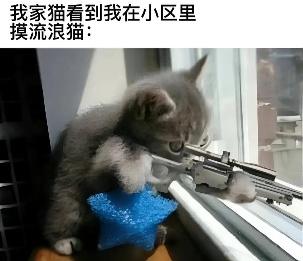 我家猫看到我在小区里摸流浪猫：