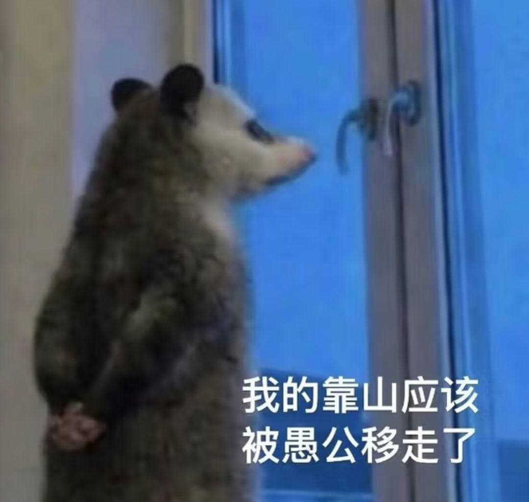 我的靠山应该被愚公移走了