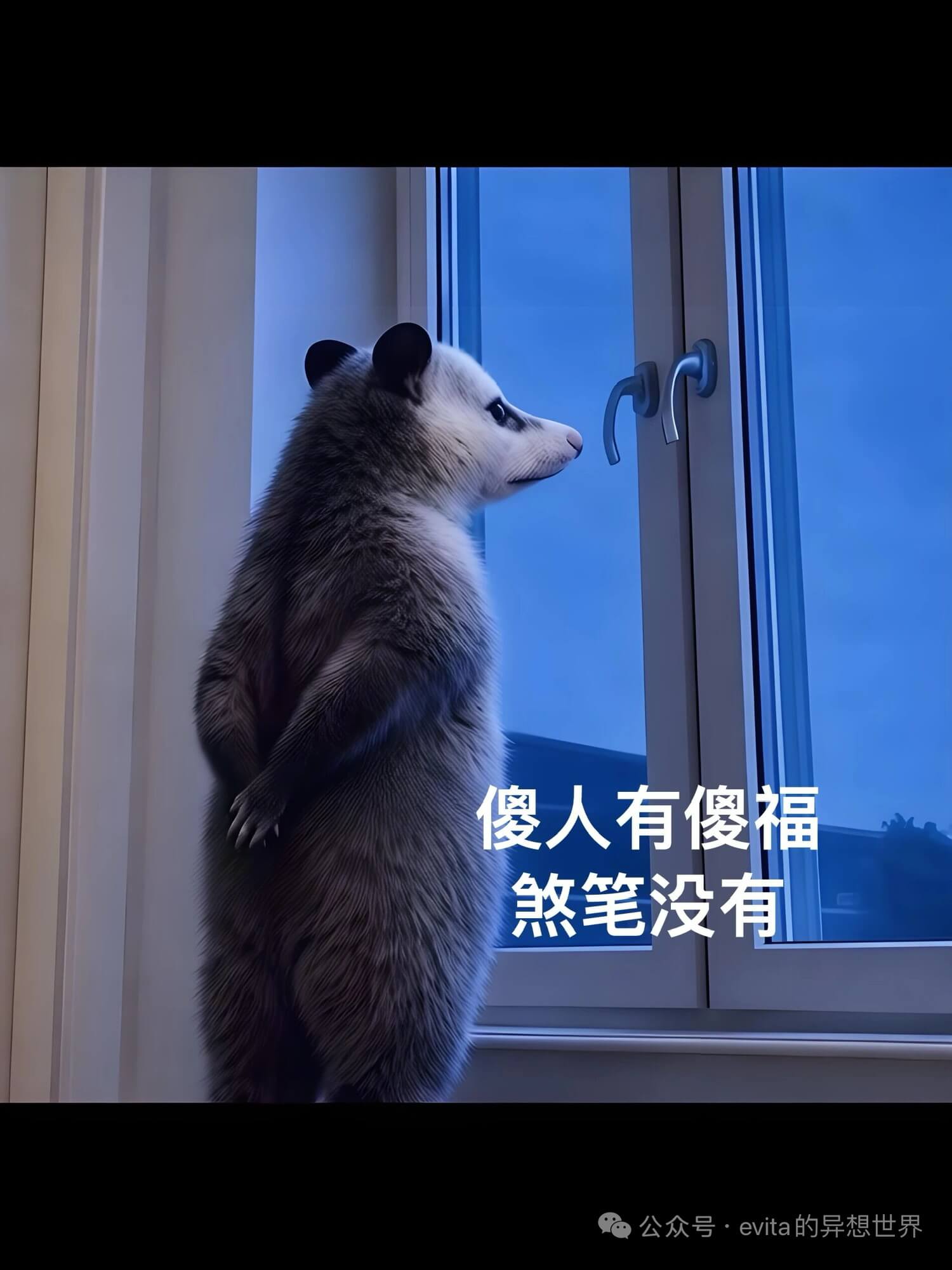 傻人有傻福煞笔没有公众号·evita的异想世界