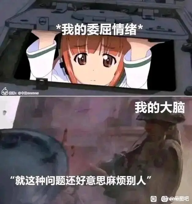 *我的委屈情绪e：@用memee我的大脑就这种问题还好意思麻