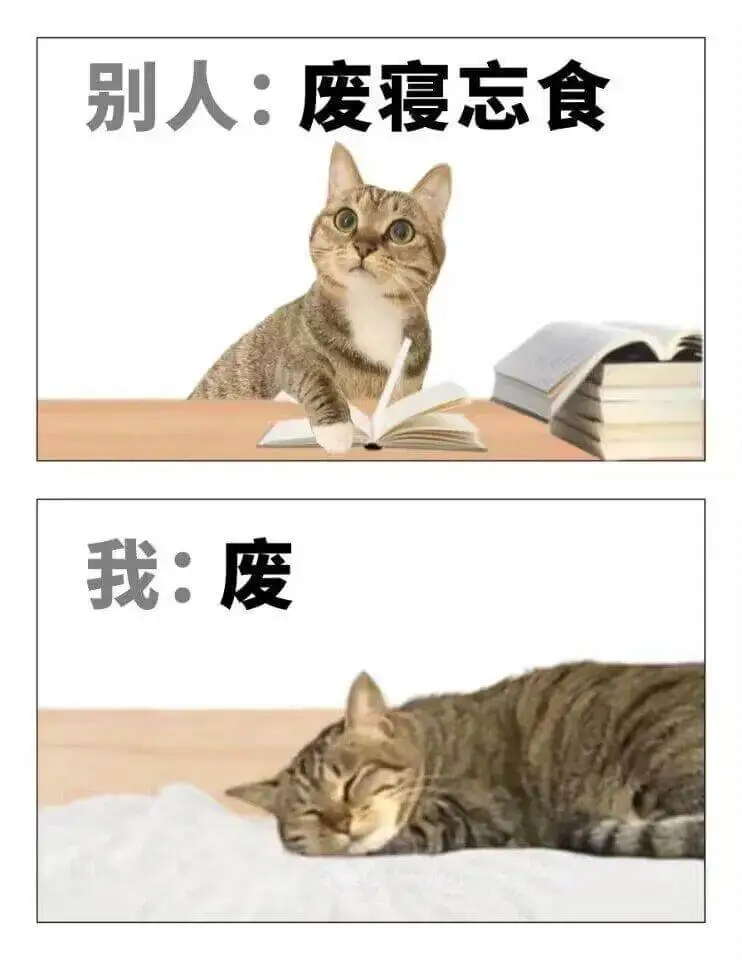 别人：废寝忘食我：废