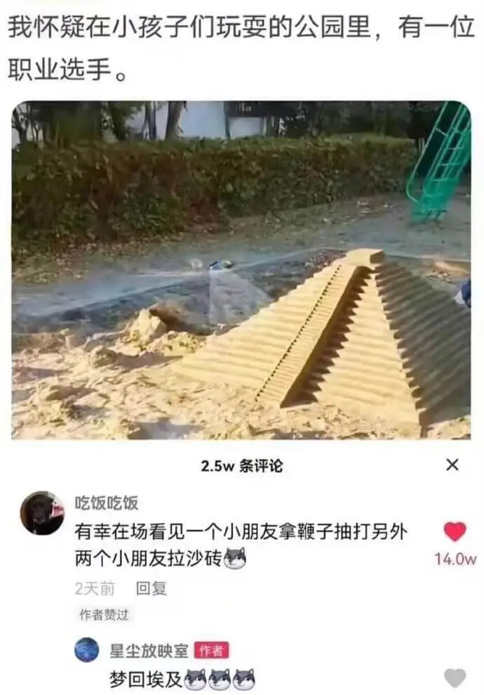 我怀疑在小孩子们玩耍的公园里，有一位职业选手。2.5w条评论