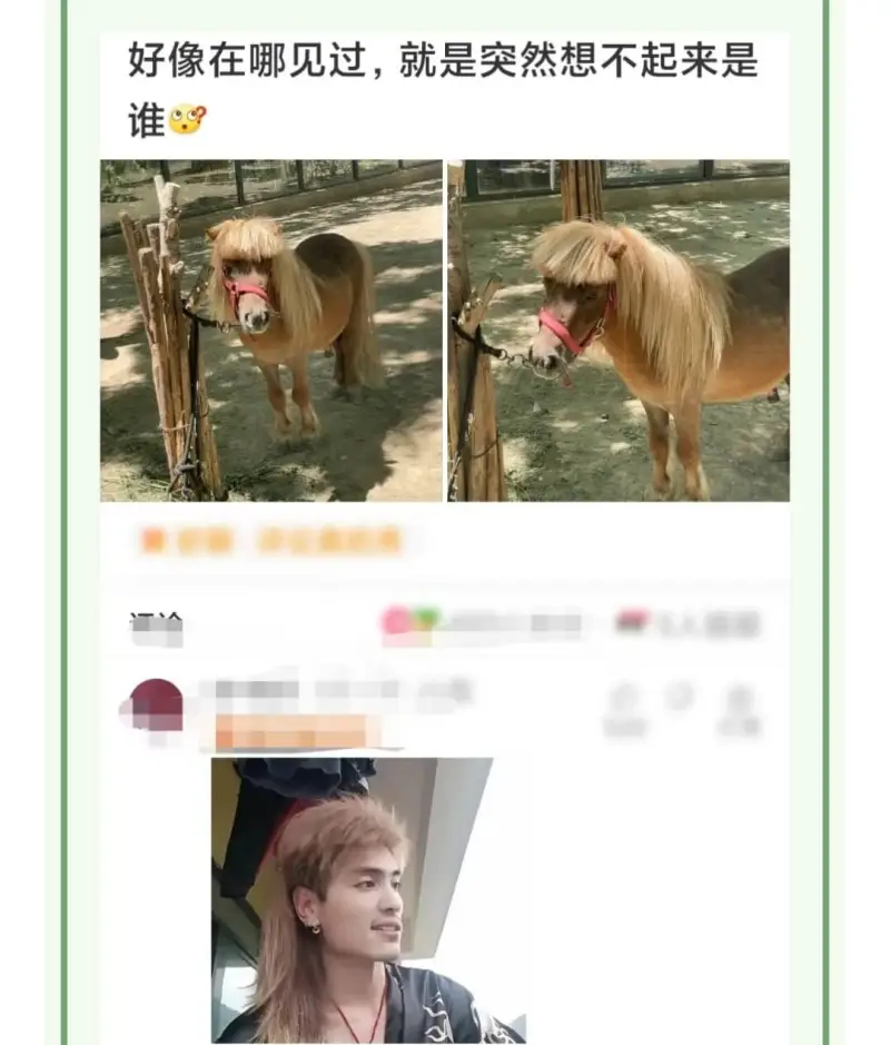 好像在哪见过，就是突然想不起来是谁