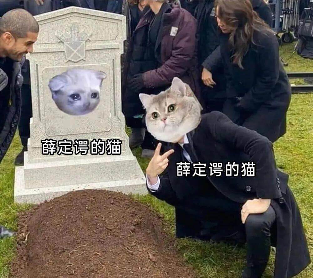 薛定谔的猫