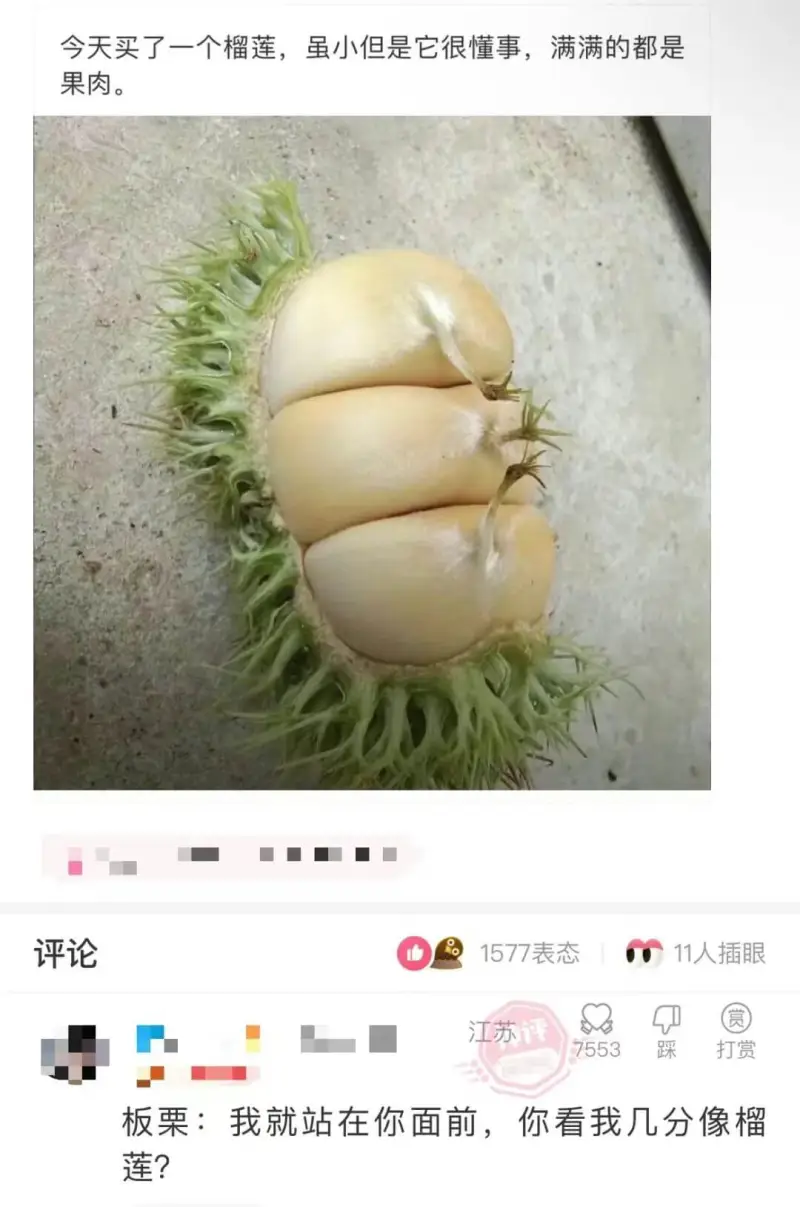 今天买了一个榴莲，虽小但是它很懂事，满满的都是。评论1577