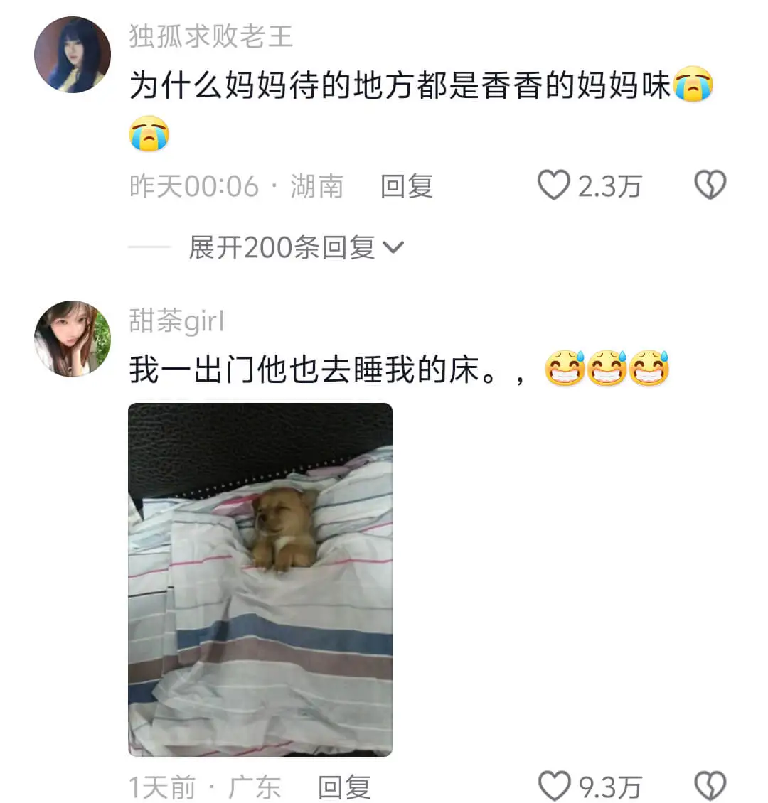 独孤求败老王为什么妈妈待的地方都是香香的妈妈味？昨天00:0
