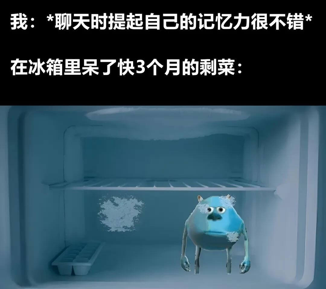 我：*聊天时提起自己的记忆力很不错在冰箱里呆了快3个月的剩菜