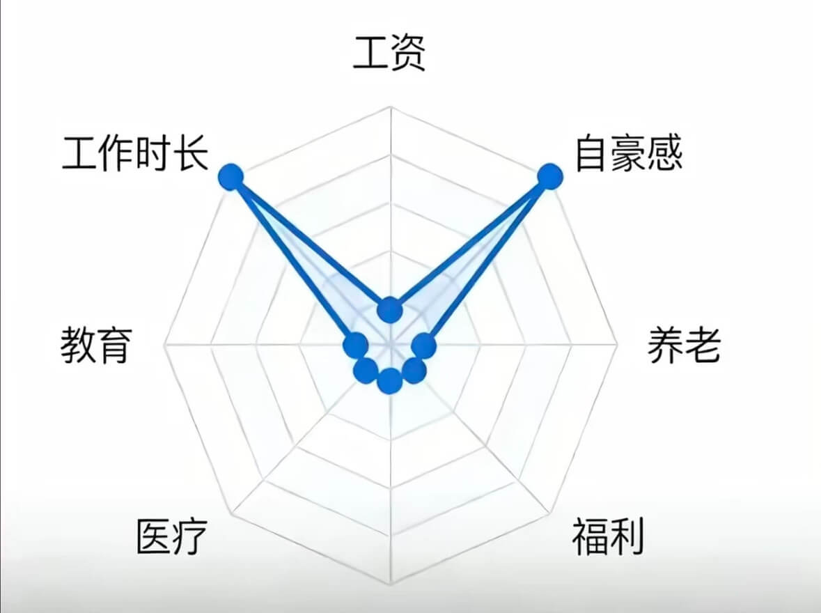 工资工作时长自豪感教育养老医疗福利