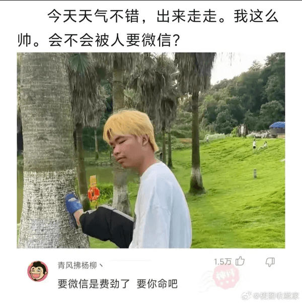 今天天气不错，出来走走。我这么师。会不会被人要微信？青风拂杨