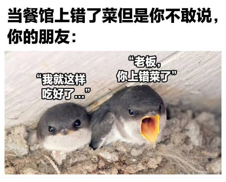 当餐馆上错了菜但是你不敢说你的朋友：“老板，我就这样你上错菜