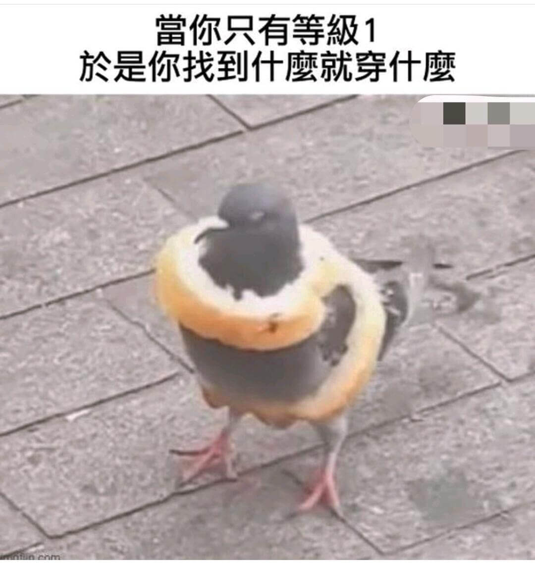 当你只有等级1于是你找到什么就穿什么