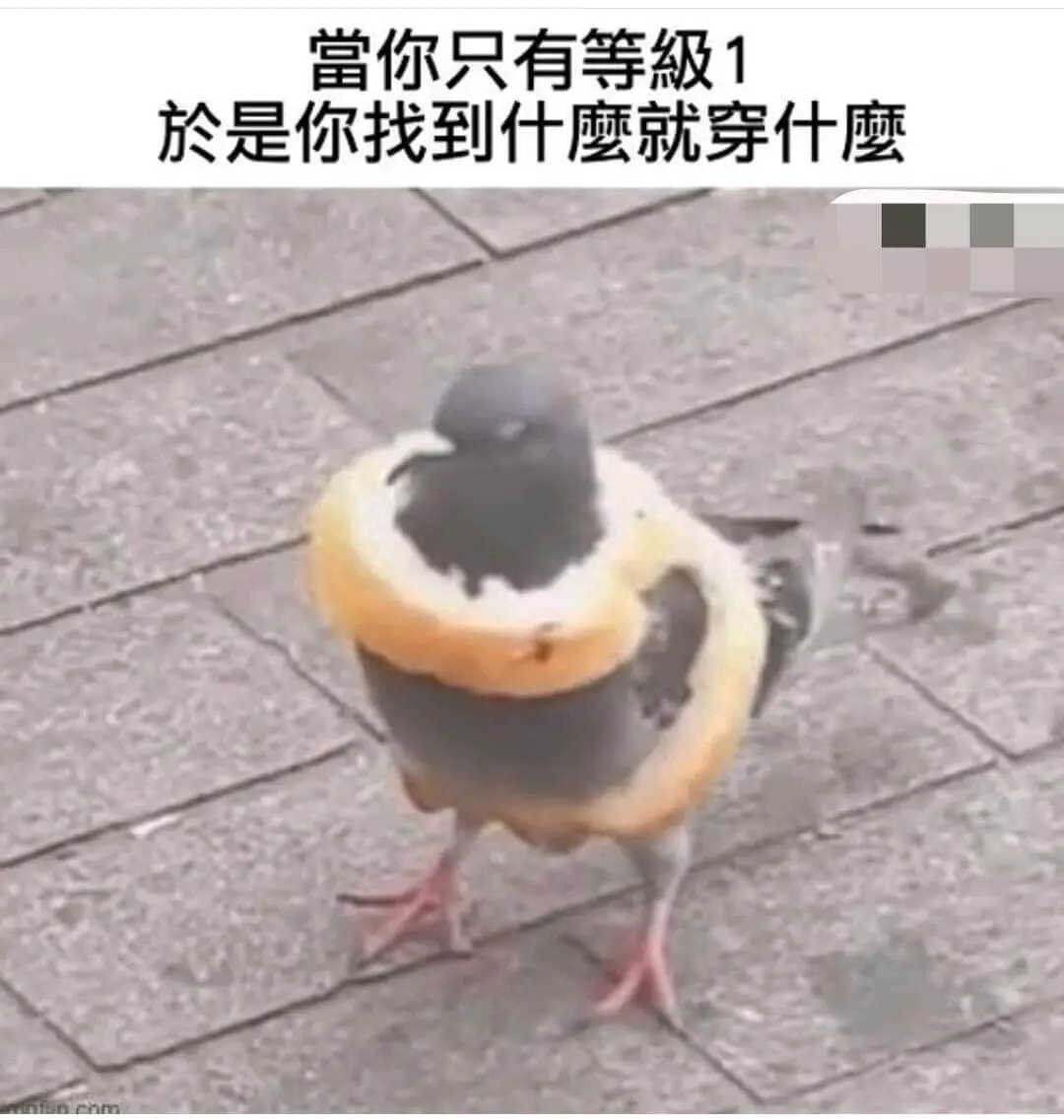 当你只有等级1于是你找到什么就穿什么