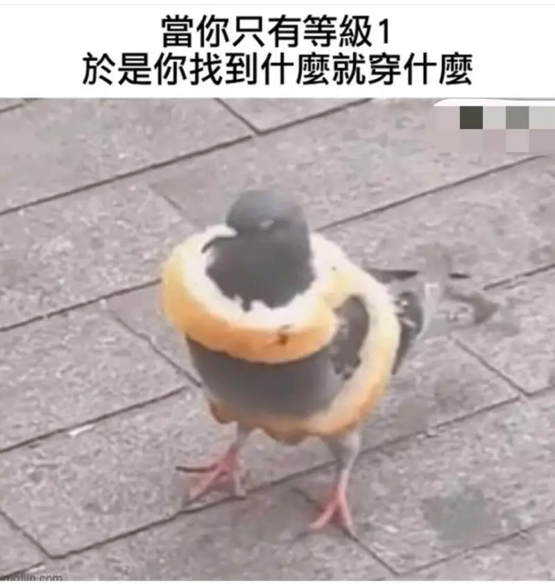 当你只有等级1于是你找到什么就穿什么