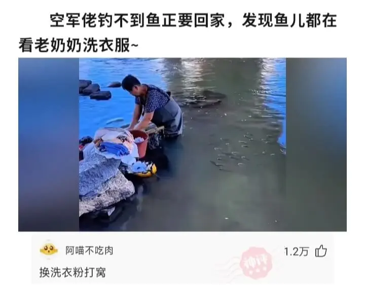 空军佬钓不到鱼，正要回家，发现鱼儿都在看老奶奶洗衣服。阿喵不
