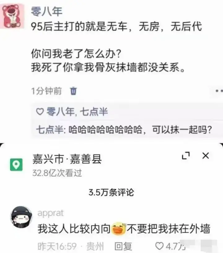 零八年95后主打的就是无车，无房，无后代。你问我老了怎么办？
