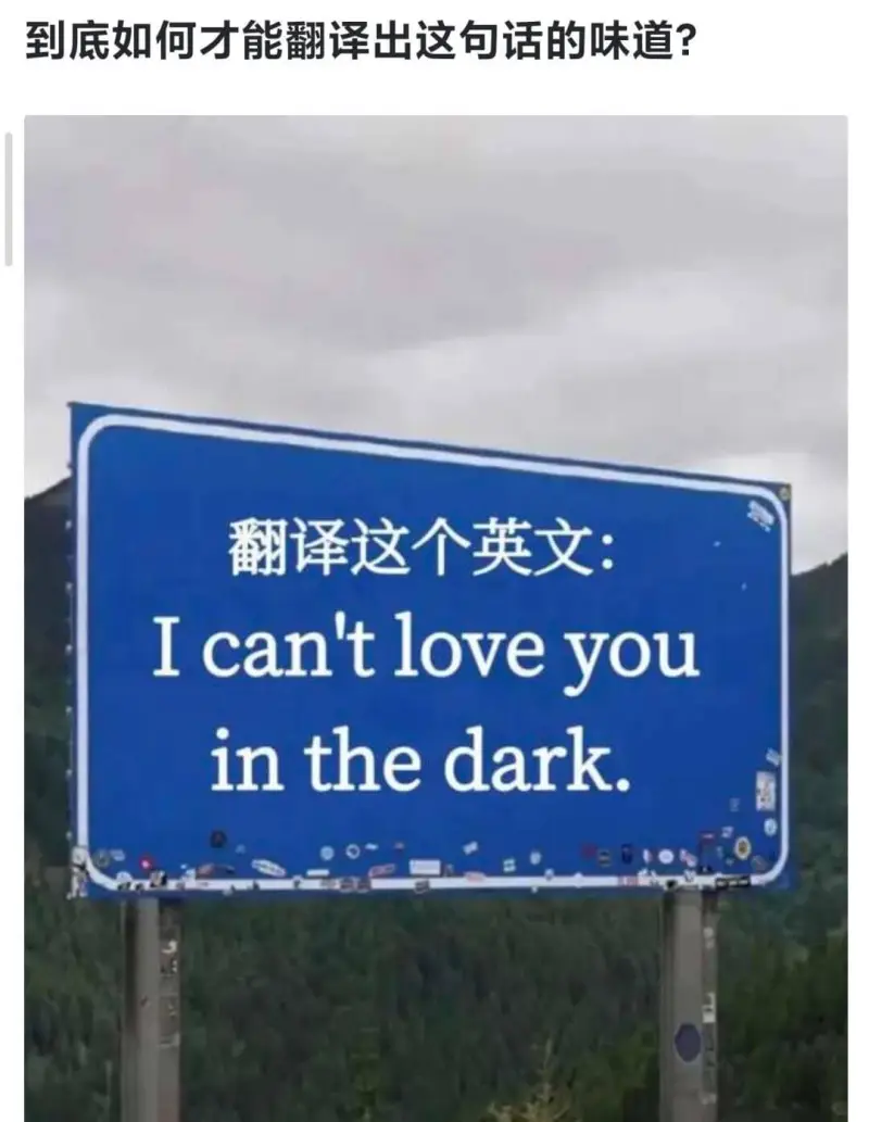 到底如何才能翻译出这句话的味道？翻译这个英文：Icantlo
