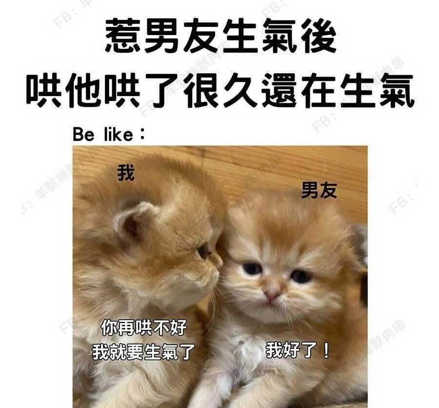 FB惹男友生氣俊哄他哄了很久遺在生氣Belike:我男友3：