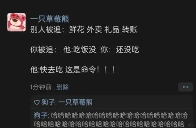 一只草莓熊别人被追:鲜花外卖礼品转账你被追:他:吃饭没你:还
