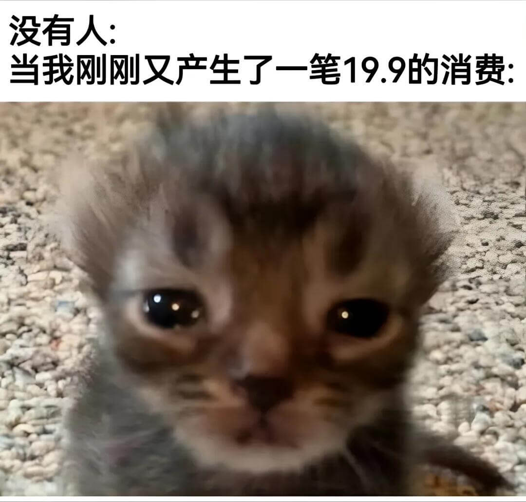 没有人：当我刚刚又产生了一笔19.9的消费