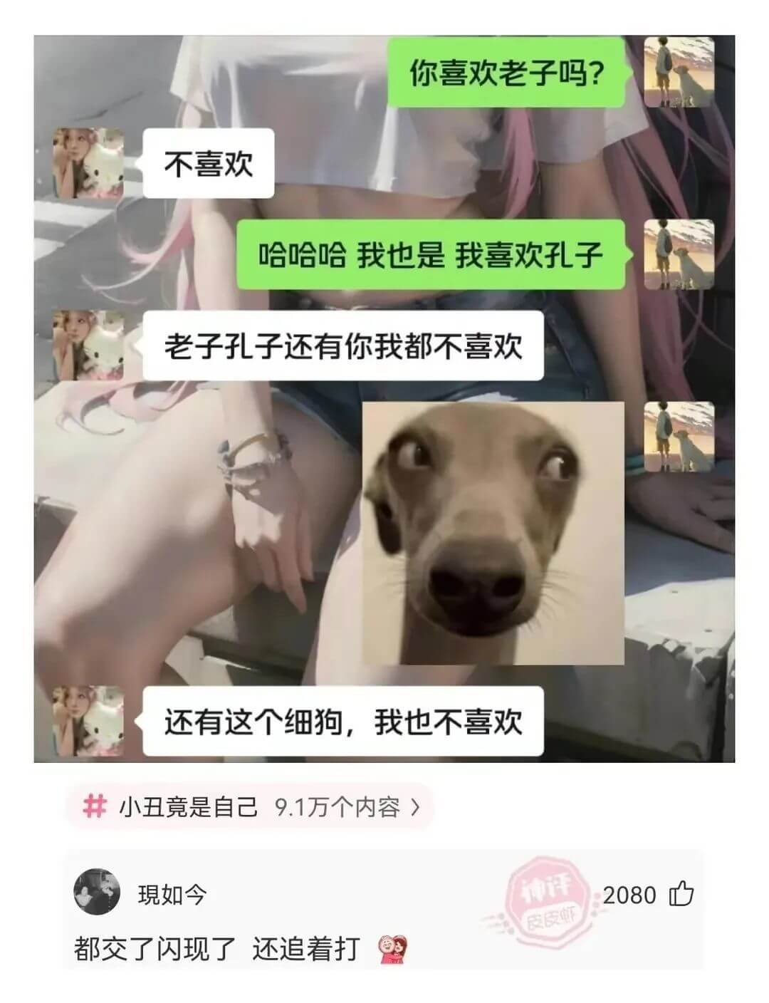 你喜欢老子吗？不喜欢哈哈哈我也是我喜欢孔子老子孔子还有你我都