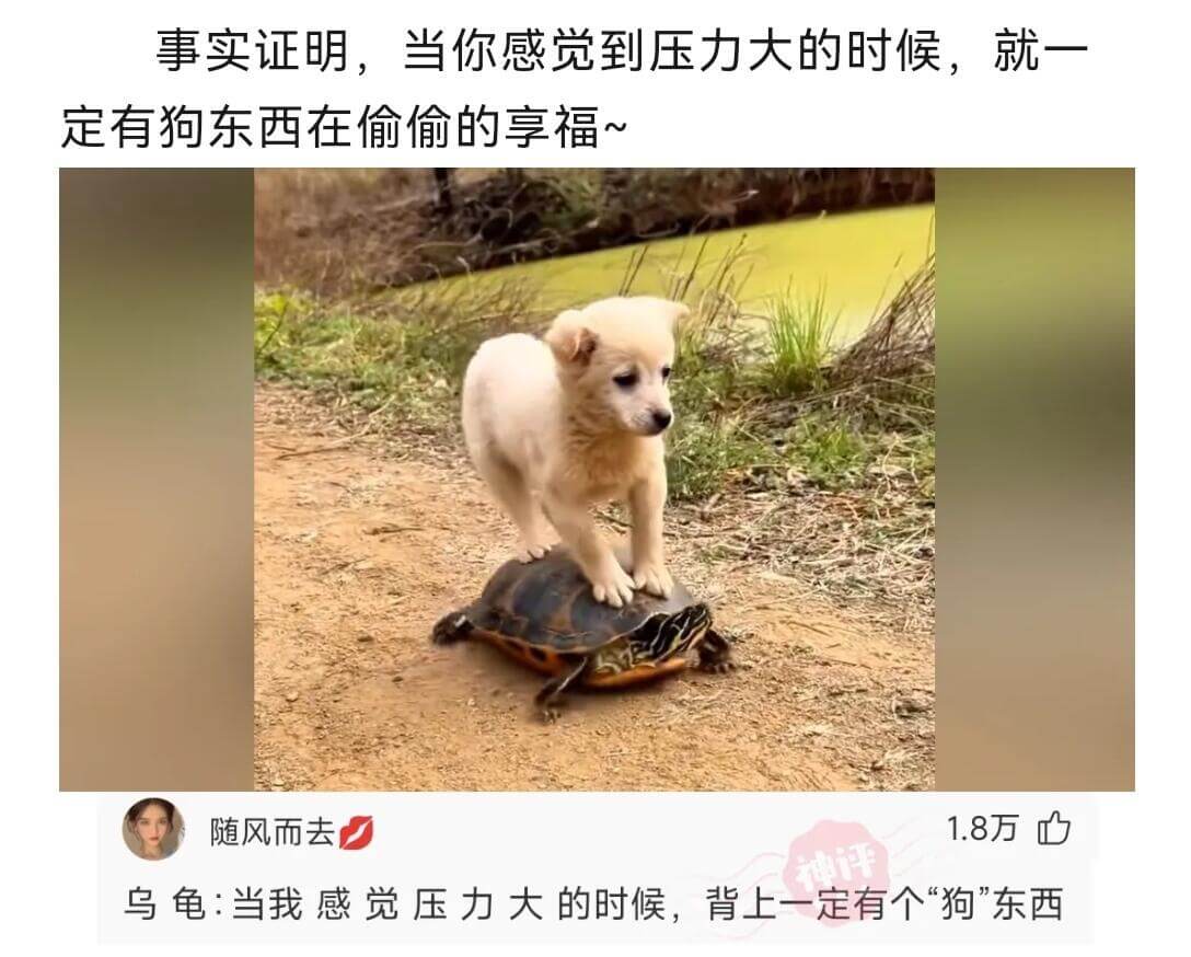 事实证明，当你感觉到压力大的时候，就一定有狗东西在偷偷的享福
