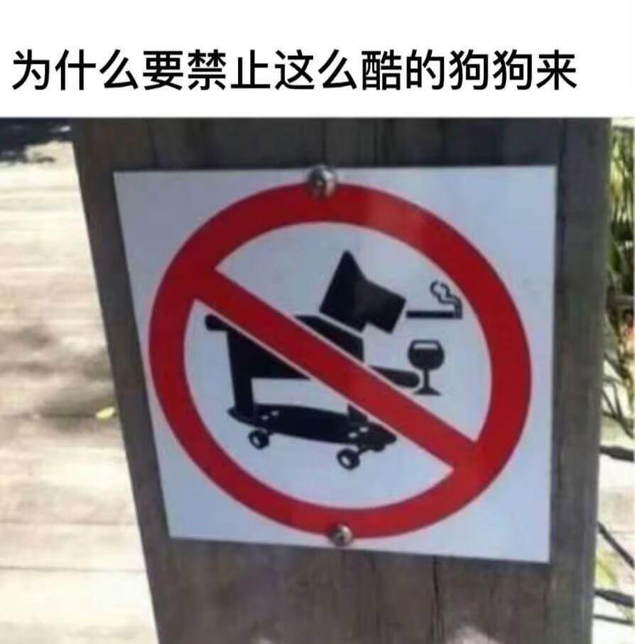 为什么要禁止这么酷的狗狗来