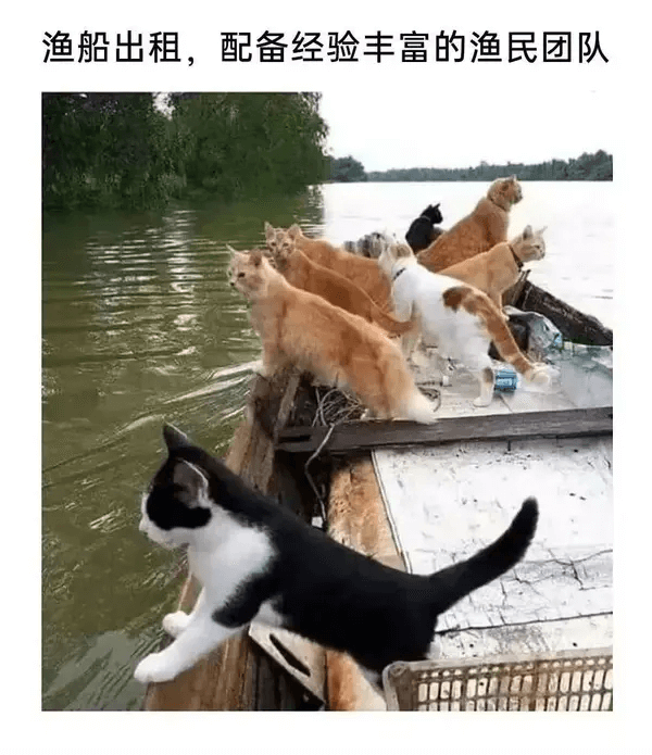 渔船出租，配备经验丰富的渔民团队